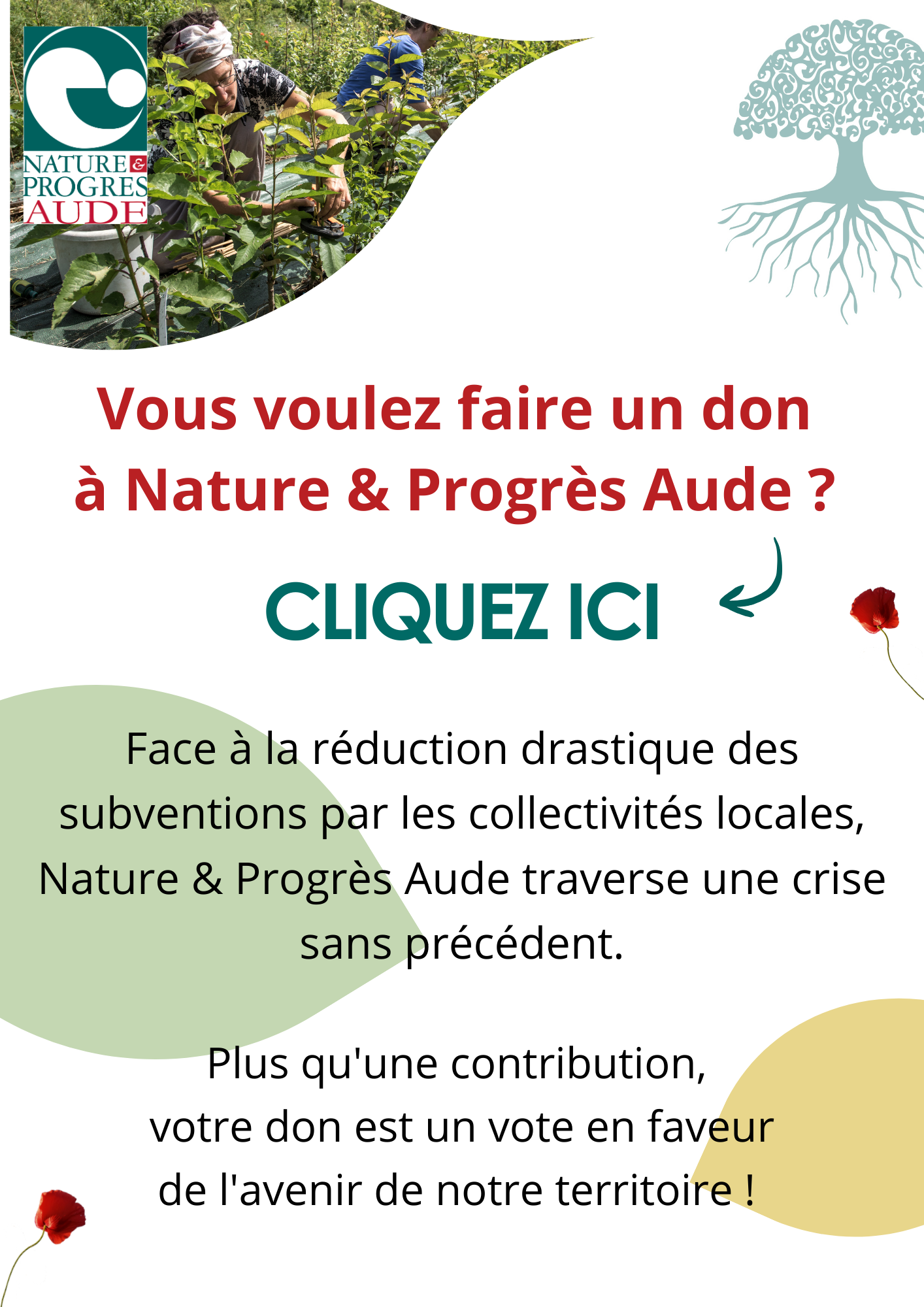 Affiche crowdfunding site internet (1)